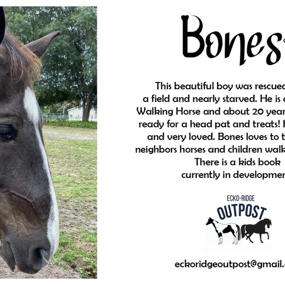 Horse Paintings! 3 sizes - Custom Colors available - Great Gift Idea - Picture 11 of 14